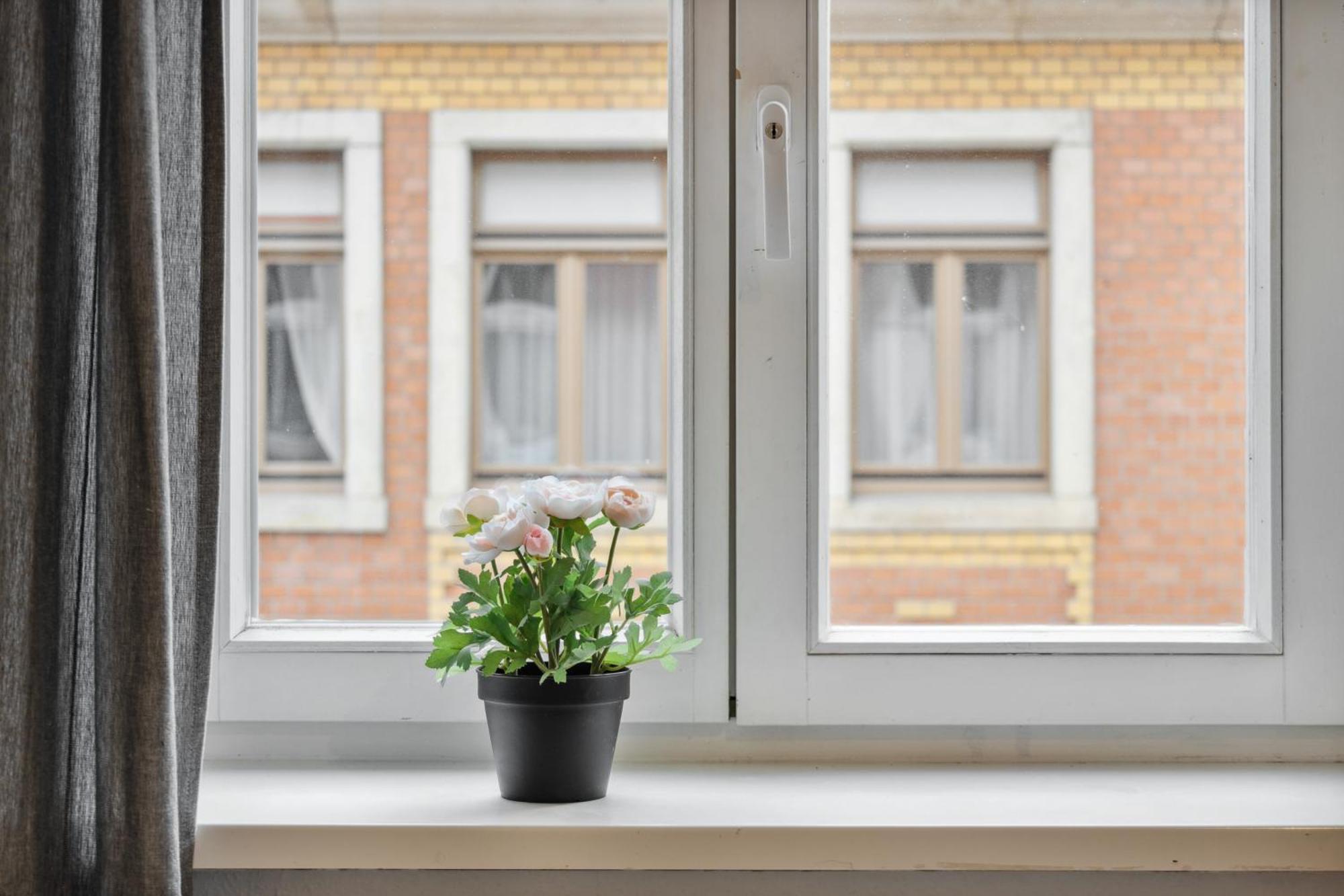 Home2stay Apartmenthaus * Drezno